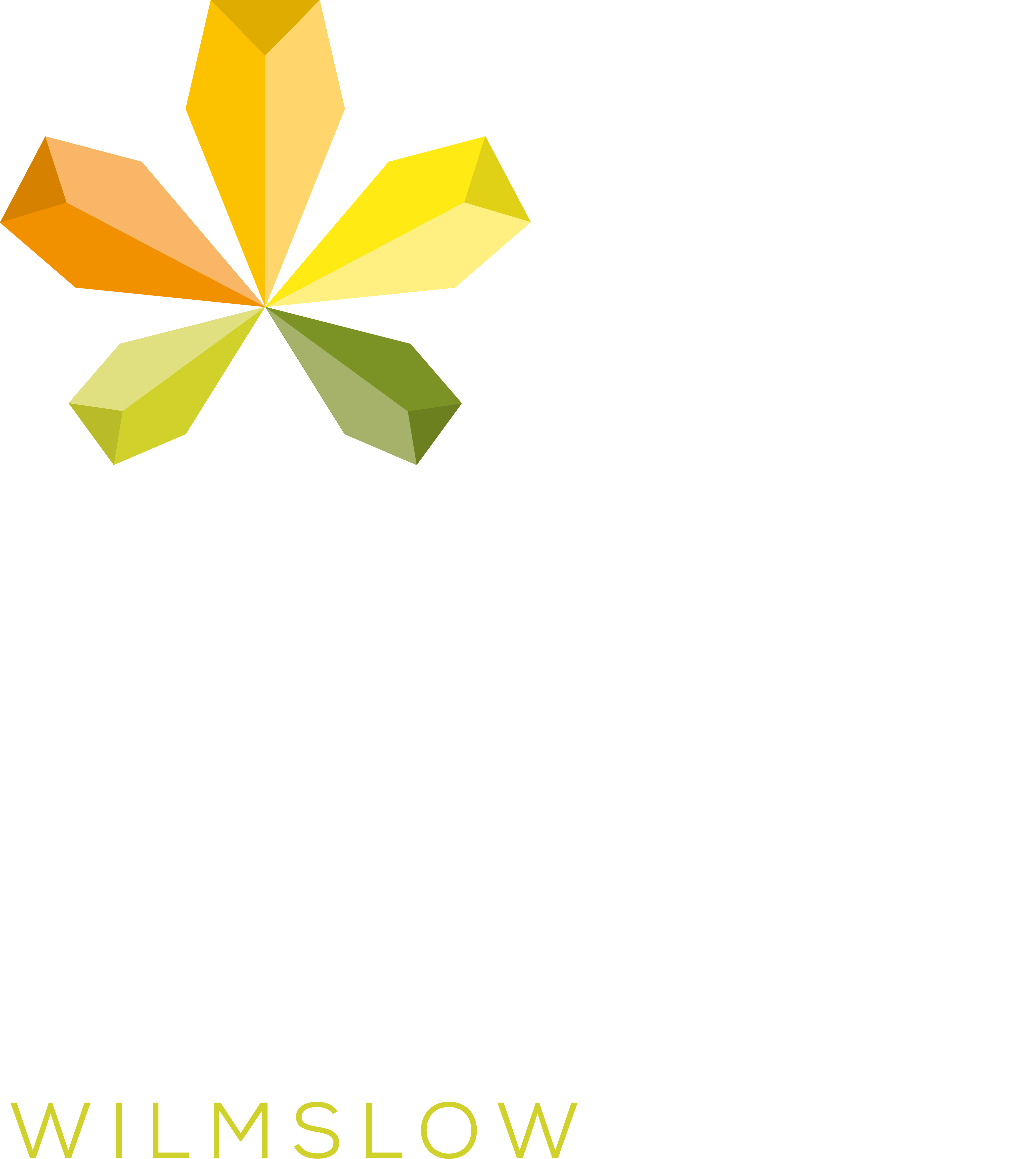Fulshaw Park Wilmslow